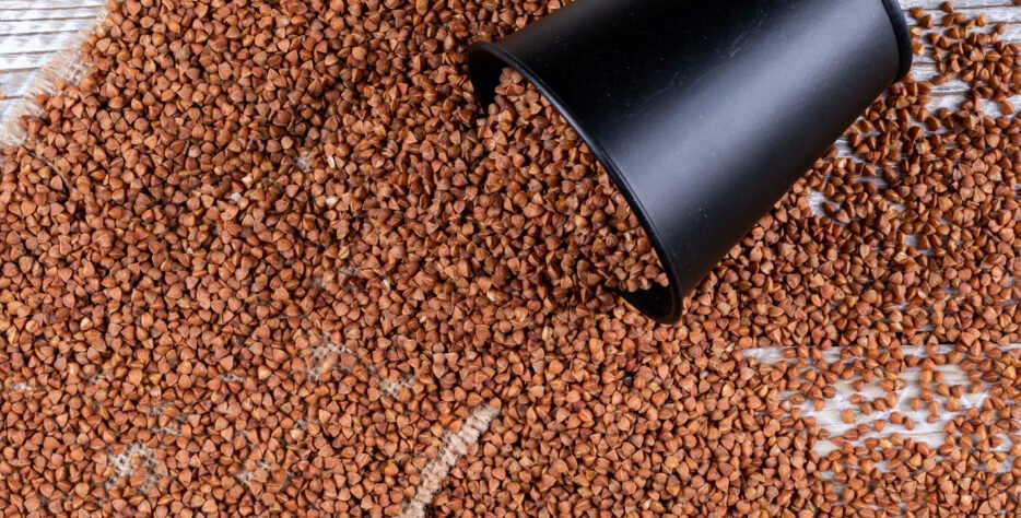 In addition to our core feed products, we supply a wide selection of nutritional supplements and feed additives designed to boost animal health, enhance performance, and improve the overall quality of your birds and fish. Our supplements are safe, vet-approved, and easy to administer.